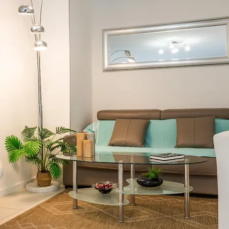 Palm - Swimming Pool - At Few Steps * カンヌ